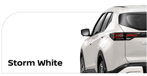 body color New Kicks e-POWER storn white