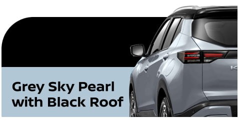 body color New Kicks e-POWER grey sky pearl with black roof