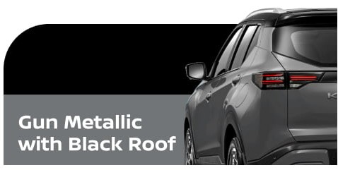 body color New Kicks e-POWER gun metallic with black roof