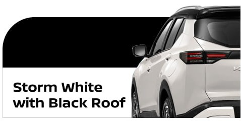 body color New Kicks e-POWER storm white with black roof